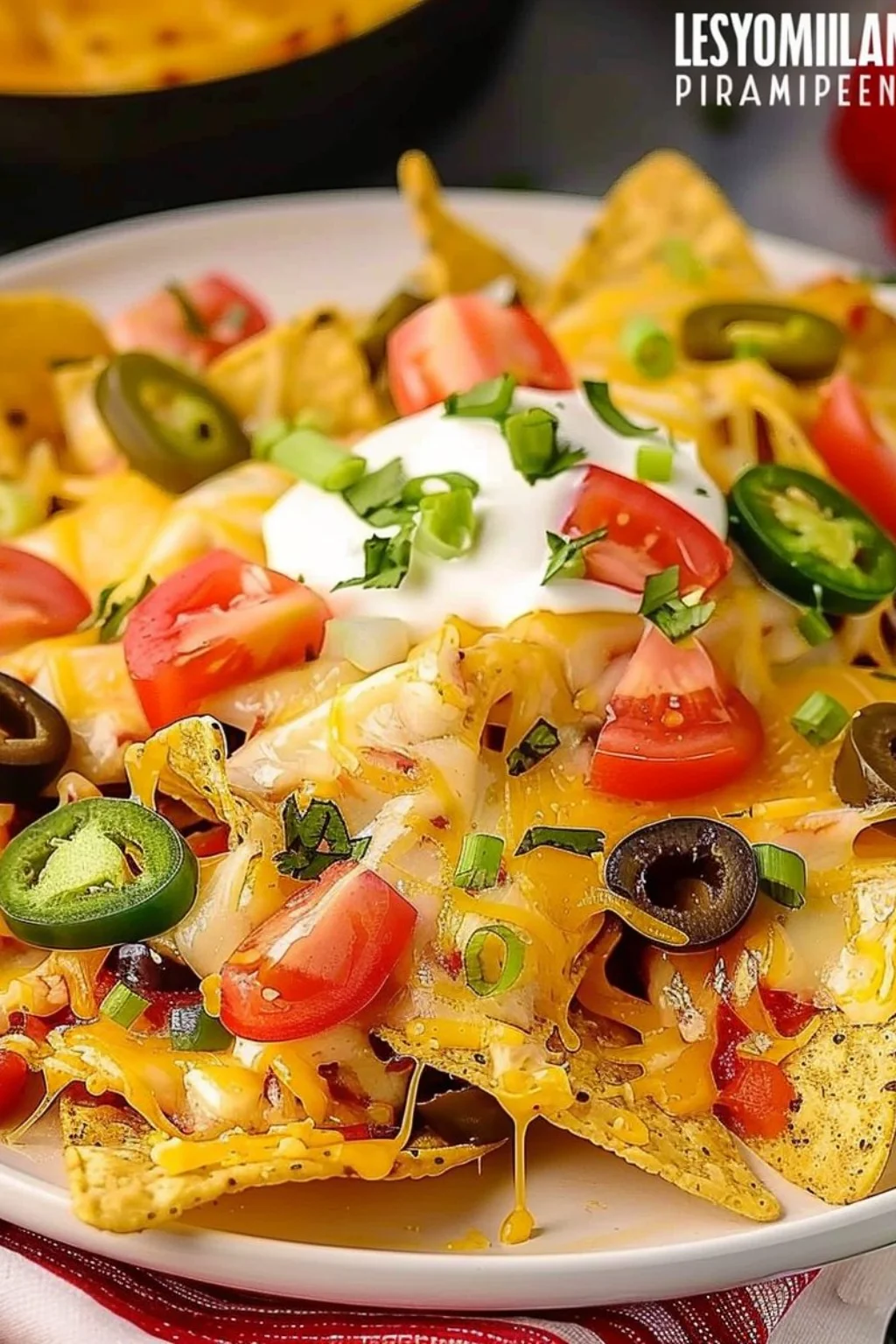 Easy Loaded Cheesy Air Fryer Nachos