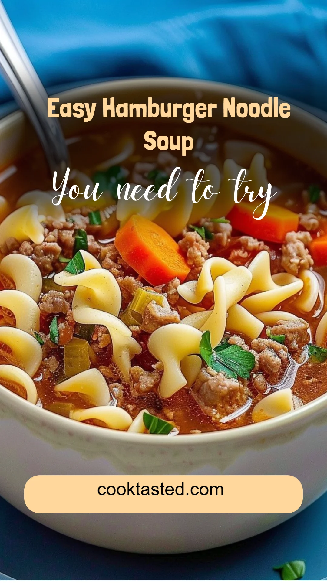 Easy Hamburger Noodle Soup