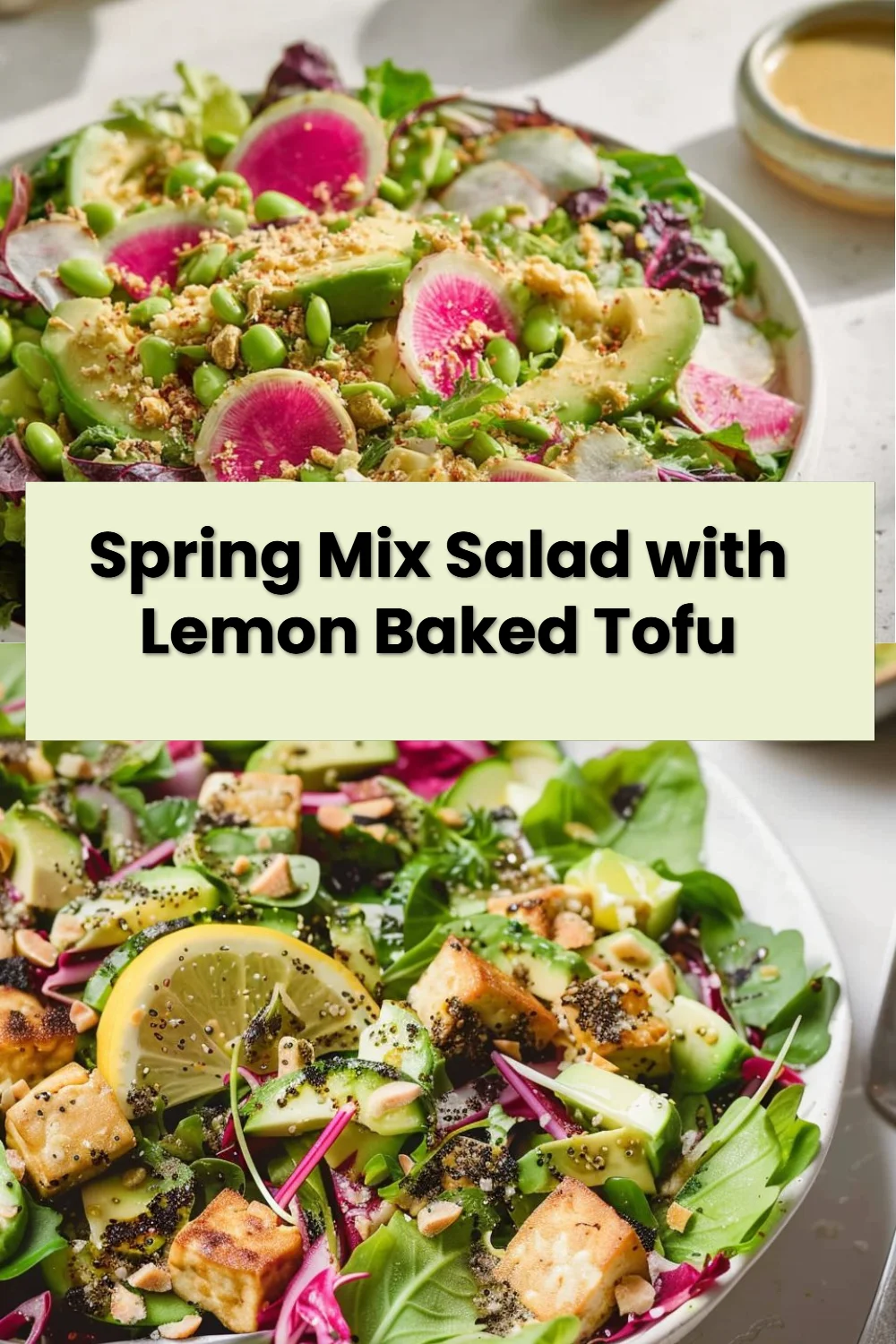 Spring Mix Salad with Lemon Baked Tofu